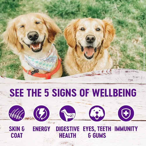 Miniatura 7 de Wellness Complete Health - Paquete de alimentos secos y húmedos para perros: alimento seco natural con granos saludables, pollo y avena, bolsa de 5