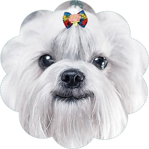 Miniatura 6 de 50 unidades/25 pares de lazos para el pelo de perro con banda de goma, patrón floral de primavera para niñas, hembra, gato, conejo, cachorro