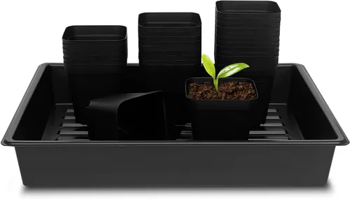 Miniatura 16 de RooTrimmer Macetas cuadradas de 3.5 pulgadas (3.5 in), 60 piezas, bandejas resistentes para plántulas, 5 piezas, bandeja de germinación