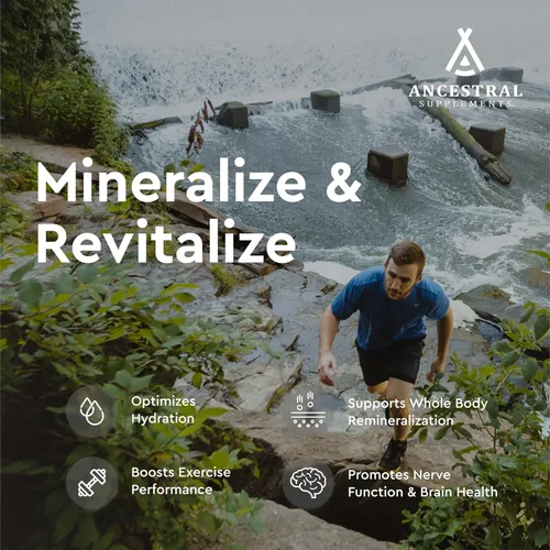 Miniatura 3 de Ancestral Supplements Minerales y electrolitos con magnesio, potasio, sodio, apoya la hidratación óptima, la salud inmunológica, el rendimiento
