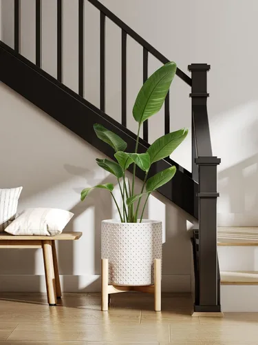 Miniatura 4 de LE TAUCI Macetas de cerámica para interiores, macetas de 10+8+6 pulgadas para plantas de interior, macetas para flores con puntos elevados