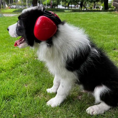 Miniatura 3 de derYEP Orejeras para perros para protección auditiva 29dB NRR orejeras de protección contra el ruido (grande, rojo)