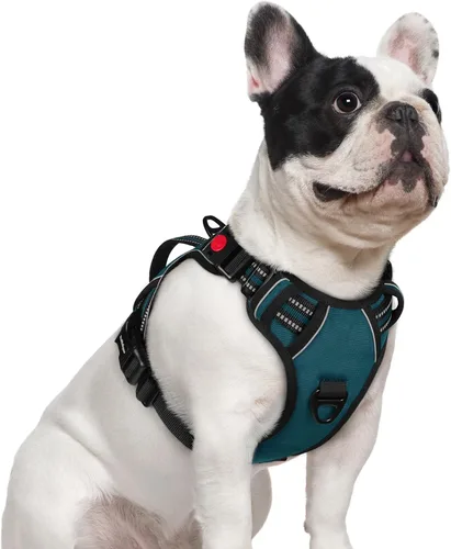 Miniatura 31 de rabbitgoo Arnés para perro de tamaño pequeño, arnés para mascotas sin tirones con mango acolchado suave, chaleco reflectante ajustable con 3