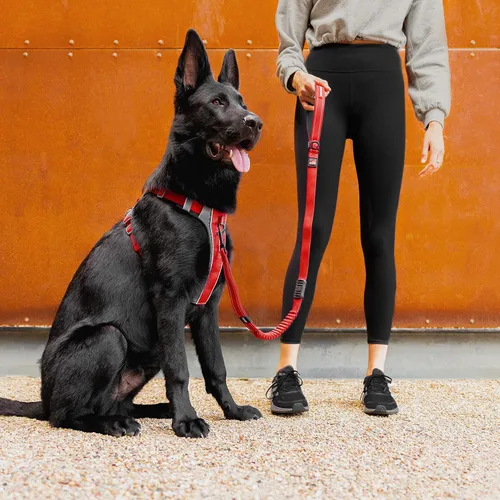 Miniatura 5 de EzyDog X-Link - Arnés para perro, reflectante y acolchado, sin tirones, para entrenamiento y paseos diarios, con 2 puntos de fijación para correa