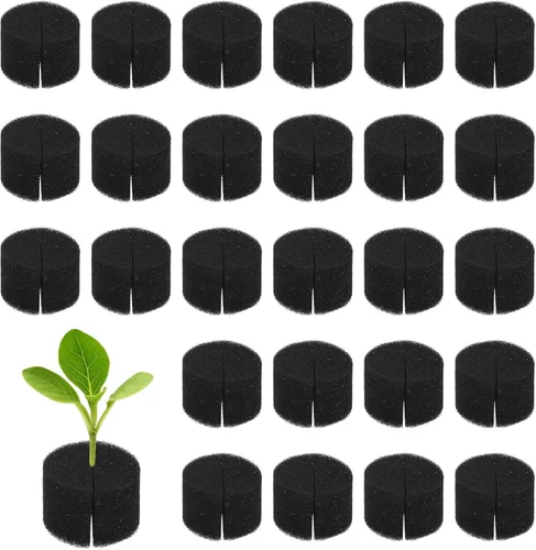 Miniatura 17 de M METERXITY Paquete de 50 esponjas hidropónicas, esponjas cilíndricas de medio de cultivo de 1.97 pulgadas para plantar herramientas de Blanco