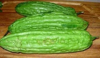 Semillas de piel verde de melón amargo chino (Foo GWA) por Stonysoil Seed Company