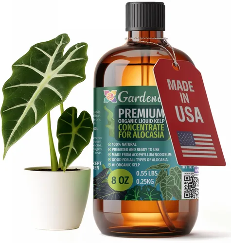 Miniatura 64 de GARDENERA Superalimento orgánico prémium de algas marinas y algas marinas para plantas AGLAONEMA, 8 onzas, concentrado de fertilizante líquido