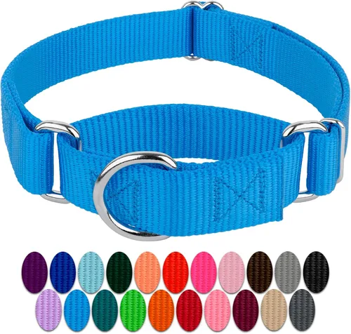 Miniatura 5 de Country Brook Petz - Collar para perro de nailon resistente Martingala azul hielo y correa de doble asa (1 pulgada, grande)