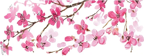 Miniatura 2 de Tervis - Taza transparente para café con tapa y diseño de cerezo japonés, 16 onzas Clásico
