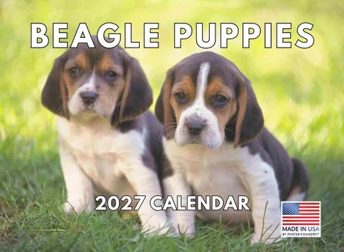 Miniatura 142 de Calendario de pared mensual 2025 Great Dane de 12 meses, fabricado en Estados Unidos