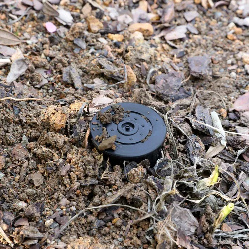 Miniatura 7 de Llavero de rociador falso para desviación, soporte seguro para decoración al aire libre, oculta una llave de repuesto para casa