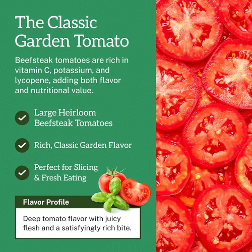 Miniatura 3 de TKE Farms & Gardens - Semillas de tomate Beefsteak para plantar, más de 75 variedades tradicionales sin OMG, cultiva tomates grandes y jugosos