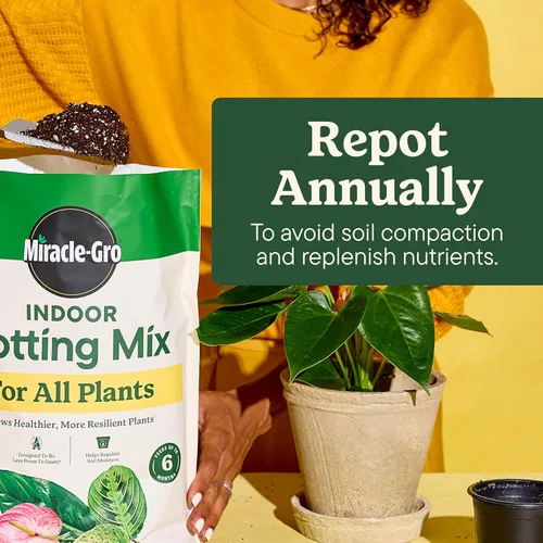 Miniatura 5 de Miracle-Gro Mezcla para Macetas de Interior, Mezclada para una Variedad de Plantas de Casa, Alimenta hasta por 6 Meses, 16 qt.