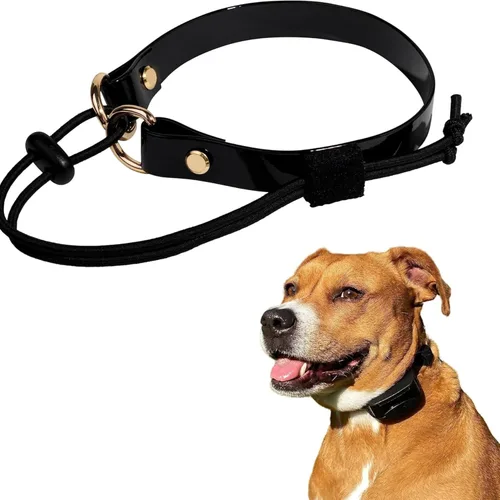 Miniatura 14 de eCollar Correa de repuesto estilo bungee – Collar de poliuretano impermeable compatible con Garmin, Dogtra, SportDOG, Educator
