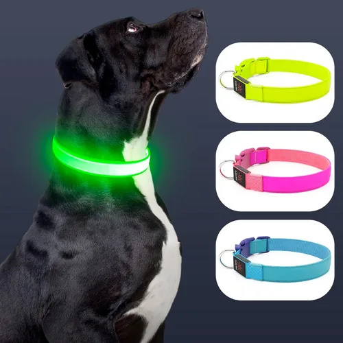 Miniatura 2 de Collar de perro con luz LED, recargable por USB, tamaño ajustable, correas de nailon TPU resistentes, collares básicos de seguridad para perros