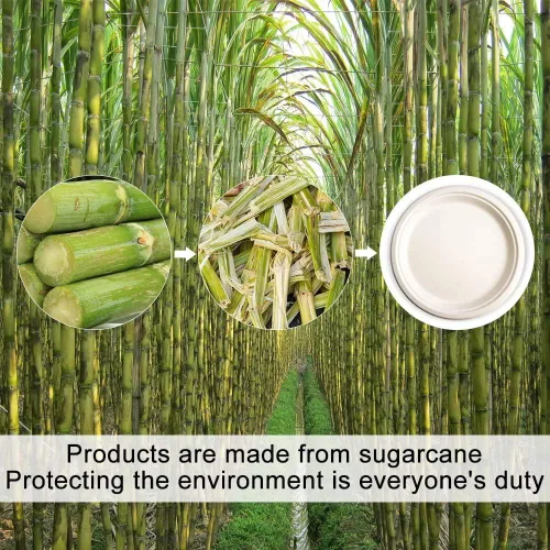 Miniatura 7 de Green Earth - Plato de papel de 9.0 in sin bagazo natural (fibra de caña de azúcar), biodegradable, compostable (500 platos desechables)