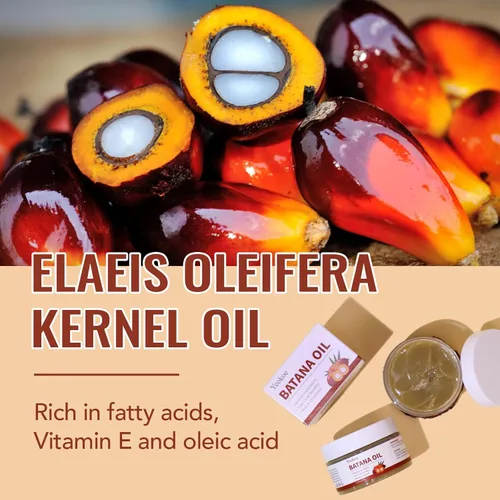 Miniatura 3 de Aceite de Batana Yeokoe para el Crecimiento del Cabello Puro y Natural Crudo No Refinado Dr. Sebi, Aceite para el Cabello, Excelente para el Cuidado