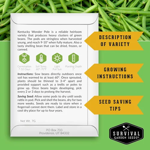 Miniatura 2 de Semilla de judía polera Kentucky Wonder para plantar - 1 paquete con instrucciones para plantar y cultivar judías verdes en tu jardín de hortalizas