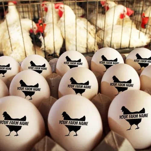 Miniatura 6 de Sellos de huevos para huevos frescos, sello personalizado de huevo de pollo con diseños únicos, marcado de huevos personalizados para regalos