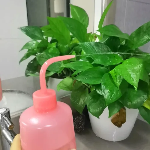 Miniatura 6 de Valchoose Botella profesional de lavado de tatuajes de 8.5 onzas (rosa), botella de boca estrecha para riego de laboratorio médico, rociador, lata