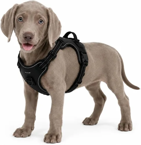 Arnés negro sin tirones para perro con 2 clips para correa, chaleco acolchado suave para perros pequeños, chaleco reflectante ajustable fácil de