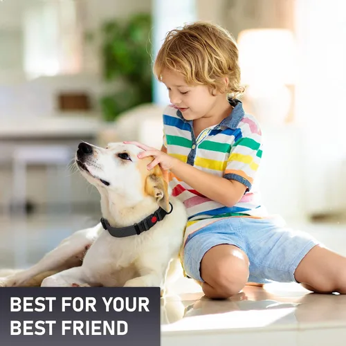 Miniatura 9 de Collar de perro ajustable con código QR identificación adjunta, fabricado en Estados Unidos, collar de perro resistente al agua con hebilla de Negro