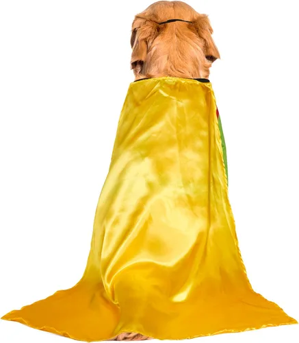 Miniatura 4 de Disfraz Rubies Costume Company de Robin de DC Comics para perro grande, 2x, Rojo