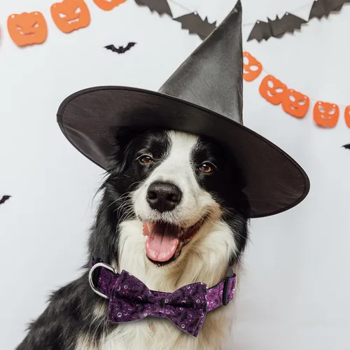 Miniatura 3 de TDTOK Collar de perro de Halloween con corbatín ajustable para Halloween, collar espeluznante para perro con hebilla de plástico ecológica