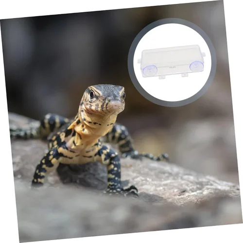 Miniatura 4 de Beavorty Tazón de alimentación de lagarto con ventosa, comedero de reptiles, reptiles, reptiles, reptiles, comedero de gecko, plato de gusano
