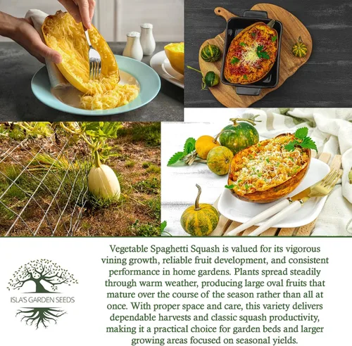 Miniatura 6 de Semillas de calabaza de invierno de espagueti vegetal para plantar, más de 25 semillas tradicionales por paquete, semillas de jardín de Isla