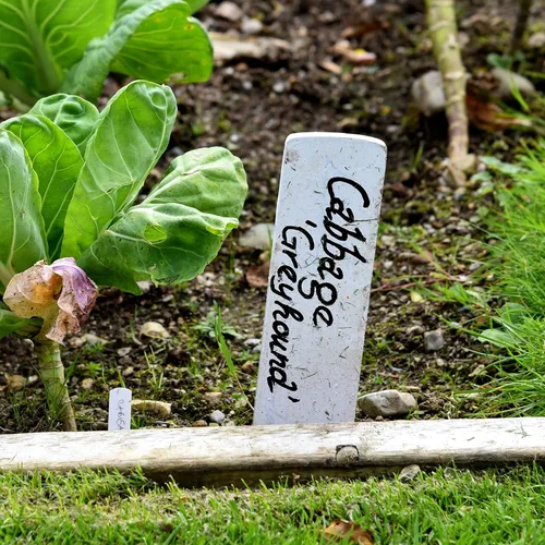 Miniatura 8 de Mr. Pen - Marcadores de jardín, negro, paquete de 4, marcadores de plantas, marcadores de jardín para plantas al aire libre, impermeables
