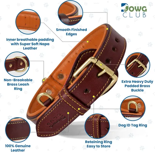 Miniatura 3 de Collar de perro de cuero genuino, grano completo, acolchado interior transpirable, hebilla acolchada, resistente, ajustable para razas pequeñas