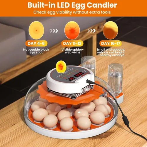 Miniatura 5 de Incubadoras para incubar huevos: capacidad de 18 huevos, girador automático de huevos, visualización de 360°, control de temperatura y humedad