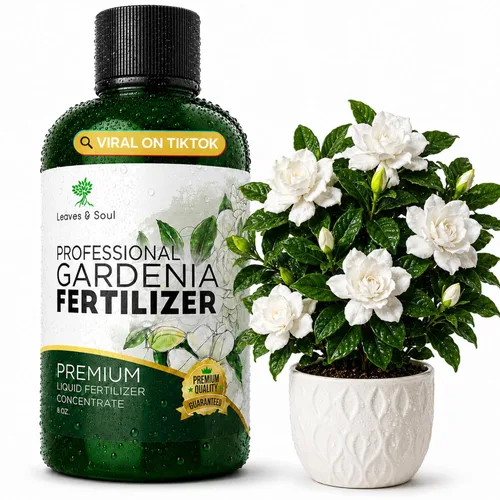 Miniatura 13 de Fertilizante líquido profesional para bambú de la suerte Concentrado 3-1-2 para plantas con flores Mezcla multiusos y suministros de jardinería