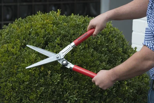 Miniatura 9 de BERGER - Cizalla Topiary 2510 con mango de madera de haya con cuchillas autoafilables, longitud 17.7 in