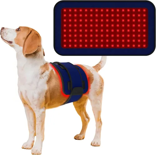 Cinturón de terapia de luz infrarroja roja para aliviar el dolor de mascotas, dispositivo portátil de terapia con láser frío para reparación de