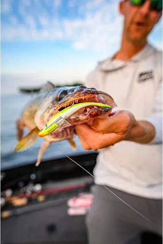 Miniatura 5 de ¡Berkley Gulp! Cebo suave de pesca de pececillos vivos