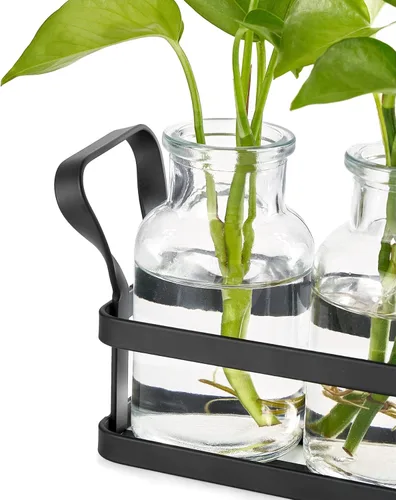 Miniatura 6 de Mkono Estaciones de propagación con soporte de metal, plantas de escritorio, terrario de vidrio, jarrón para plantas hidropónicas, corte de flores