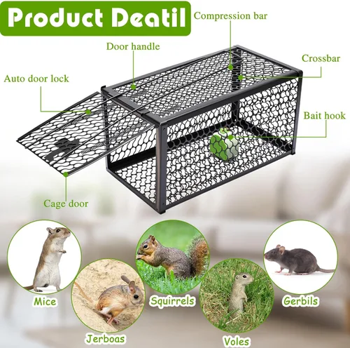 Miniatura 3 de Qualirey Trampa humana para ratas, ardilla, roedor, ratón, ardilla, trampa para ardillas, 11 x 6 x 6 pulgadas, para animales vivos, ratones