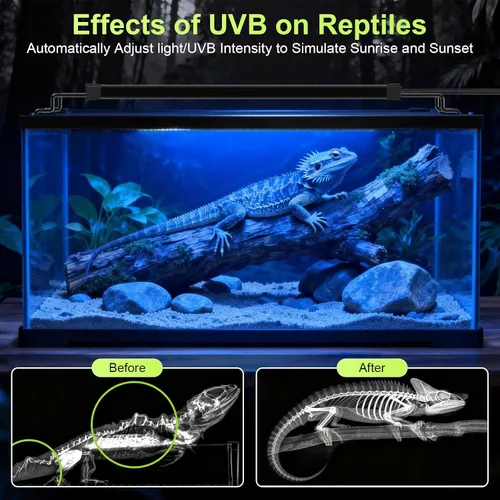Miniatura 3 de Luz LED UVB de 8 W para reptiles, luz de terrario, luz extensible para tanque de reptiles con controlador y atenuación y 5 modos UVI de espectro