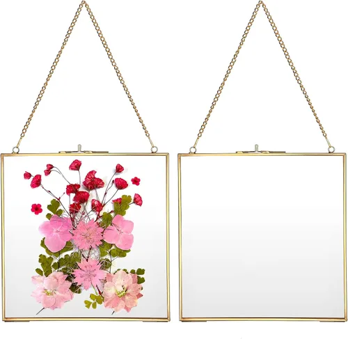 Miniatura 12 de JUXYES Paquete de 2 marcos cuadrados de latón para colgar en la pared para flores prensadas, marco de exhibición de ilustraciones de doble vidrio