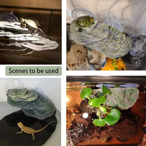 Miniatura 7 de kathson Plataforma para tomar el sol de tortuga, rampa de escalada de tortugas para bebé, esquisto, reptiles, muelle, terraza, piedra, pequeño