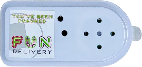 Miniatura 6 de FUN delivery Annoise Broma de broma de sonido molesto grabable oculto broma broma