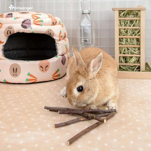 Miniatura 7 de Niteangel Palitos de manzana naturales masticables juguetes para conejos, chinchilla, conejillos de indias, hámsters y otros animales pequeños