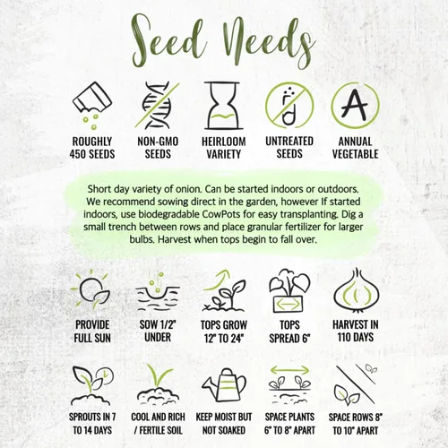 Miniatura 8 de Seed Needs Semillas de cebolla para plantar cebollas de día corto rojo burdeos, semillas de verduras sin tratar y sin OMG para plantar un jardín