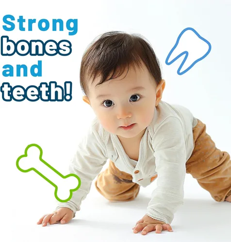 Miniatura 5 de Nature's Nutra Strong Calcium, Plus MenaQ7 K2, Calcio líquido prémium para bebés, bebés y niños, sabor natural, sin OMG, Kosher, 2 onzas líquidas