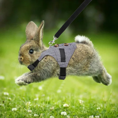 Miniatura 2 de Conjunto de arnés y correa de conejo, estilo formal ajustable para conejito gatito pequeño animal caminando (S)
