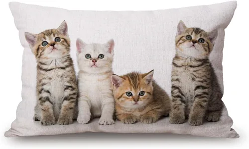 Miniatura 64 de Fundas de almohada de 12 x 20 pulgadas, decoración rústica de granja, sé feliz, fundas de almohada de algodón y lino, citas inspiracionales con Jcp20