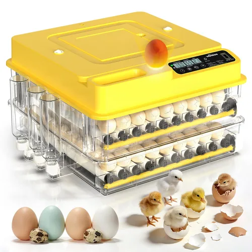 Miniatura 9 de Incubadoras para huevos para incubar huevos para granja de laboratorio con giro automático de huevos para pollo, patos, ganso, codorniz, 48 huevos