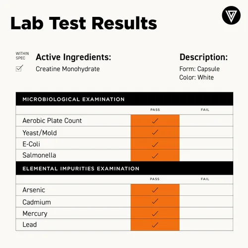 Miniatura 6 de Vital Vitamins Píldoras de monohidrato de creatina para mujeres y hombres - Cápsulas de creatina micronizada - Cognitivo, fuerza y apoyo